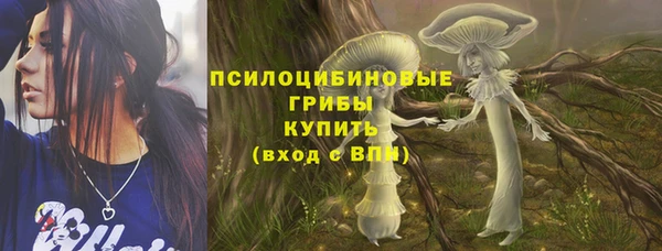 a pvp Абаза