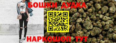 гидра Кинель