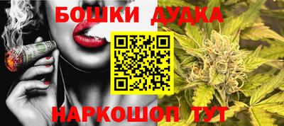 мет Кингисепп