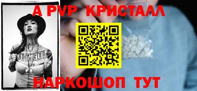 мет Кингисепп