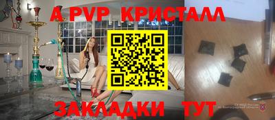 мет Кингисепп