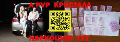 мет Кингисепп